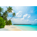 Supercar Check-out Phu Quoc – Private Tour With Luxury Car, Rental Car, Massage – Last-day Package