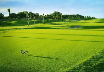 Twin Doves Golf Club - TP.HCM, Việt Nam