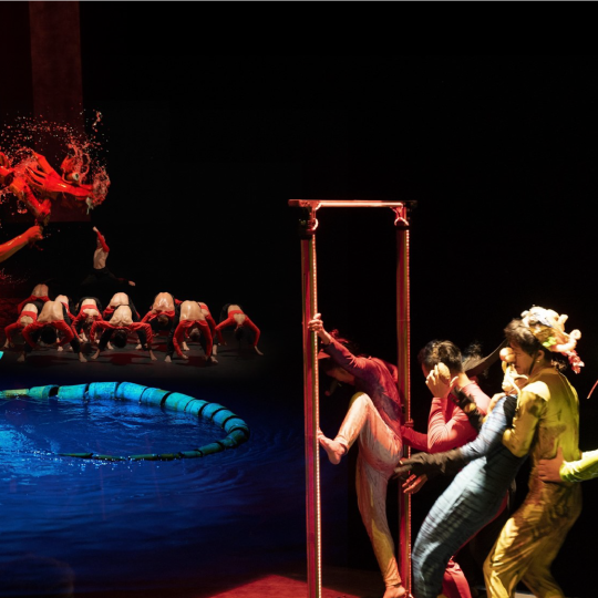 QR Entry Ticket for Life Puppet Show in Nha Trang