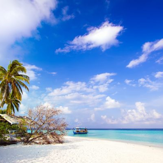 Phu Quoc 1-day Sightseeing Tour - City Tour – Private Tour – Free Itinerary – With Guide