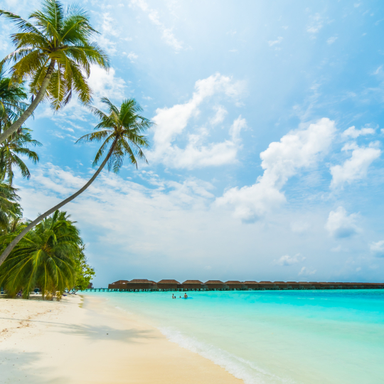 Supercar Check-out Phu Quoc – Private Tour With Luxury Car, Rental Car, Massage – Last-day Package