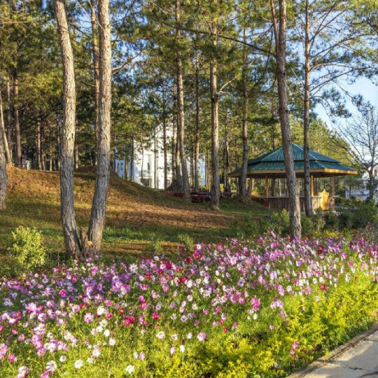 Da Lat Rung La Kim Resort