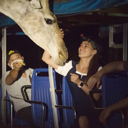 🎟️Phu Quoc Vinpearl Night Safari Tour
