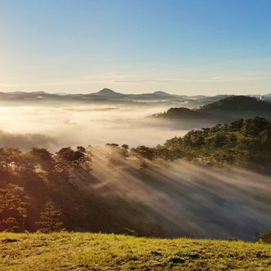 Sunrise Watching and Da Lat Day Tour