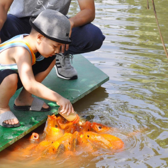 Nha Trang Yang Bay Theme Park Tour